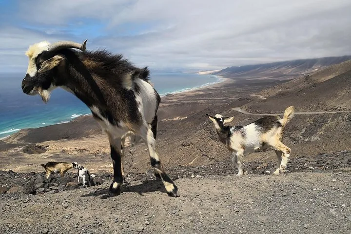 Tourfoto